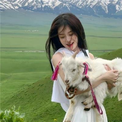 神侠闹金銮粤语