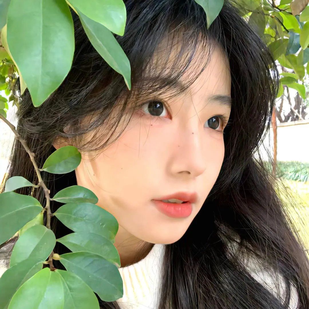 白蛇缘起